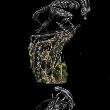Alien, the 8th passenger by Zorrofuego