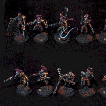 Dark Eldar Wyches Drukhari Wych Cults by peckersaurus