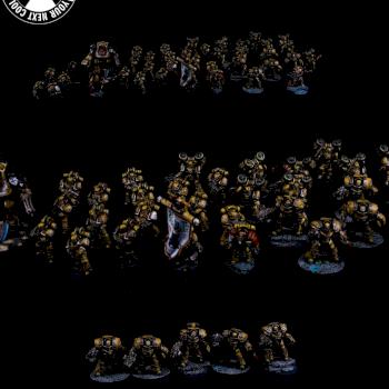 Warhammer 30K, Space Marines, Imperial Fist, Army by cool-minis.com