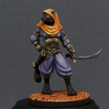 Tabaxi Fighter by Goldfinch_Minis
