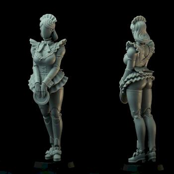 Robot Waitress by Brother Vinni