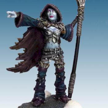 Legion of Everblight Shepherd by havok100