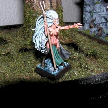 Wood elf spellweaver by Baardah