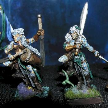 Wood elf wardancers by Baardah