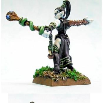 Dark Elf Sorceress (Converted) by tofu