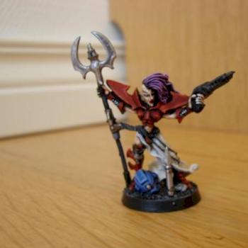 Dark eldar Lord by juhen