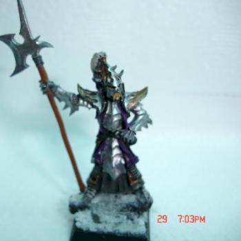 Dark Elf by angora