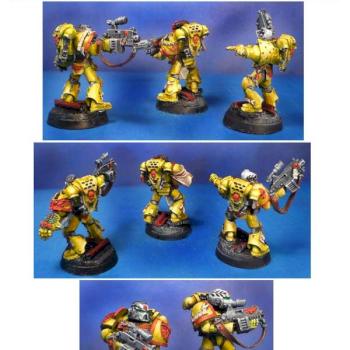 IMPERIAL FISTS-STERNGUARD VETERANS by midgardmodels