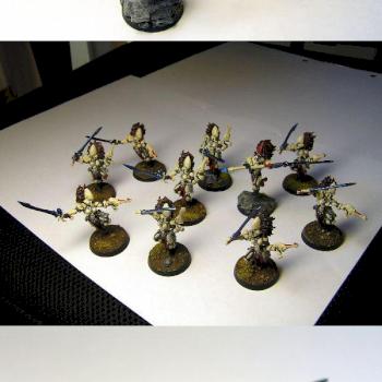 Eldar Banshee Squad by Doc Boy