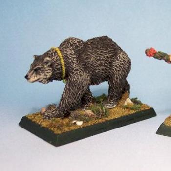 Druid and animal companion by Jashir