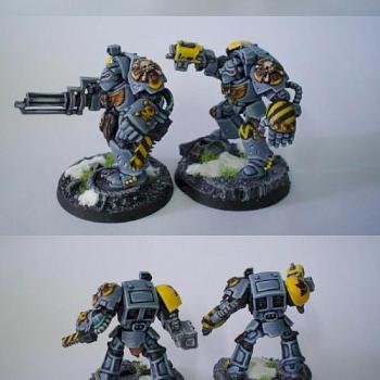 Space Wolves Wolf Guard 2 by Zuzu