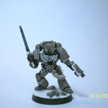 Grey Hunter by GriffinArt