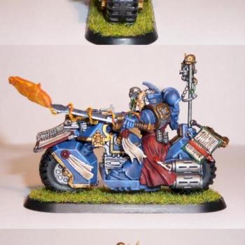 Librarian on bike by Marins