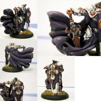 Paladin Order of the Wall by tolpuddle