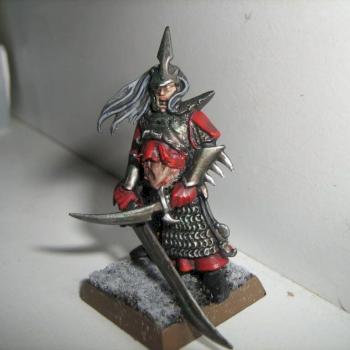 Dark Elf zombie. by hexter
