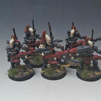 Aeldari Dark Reaper squad by nels0nmac