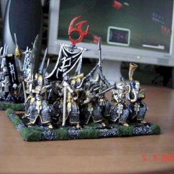 Executioners regiment by roman14