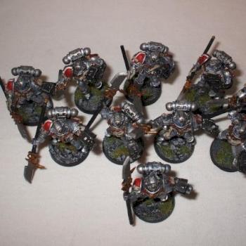 Warhammer 40K PAINTED GREY KNIGHTS x10 by TheAvian