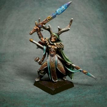 Wood Elf Lord with Sword and Spear by Il Moro