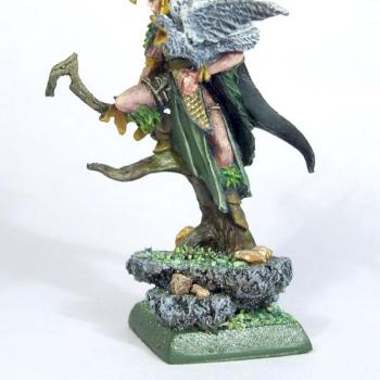 Wood Elve Noble by hdcomics