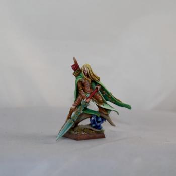 Wood Elf Highborn by Ryan Ocyro