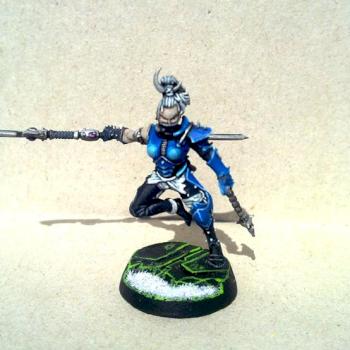 Dark Eldar Wych by Forrest33