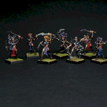 Dark Elf Witch Elves by Samuedio