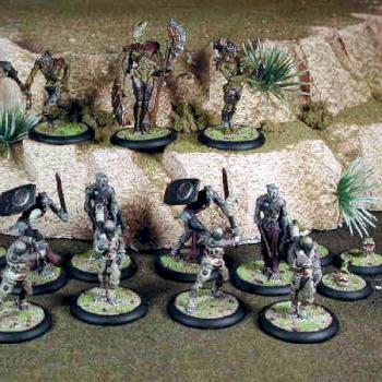 Dark Age Brood Army Family shot by fatbastard