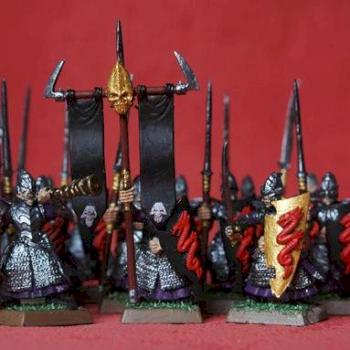unit dark elf warriors by dragonlord
