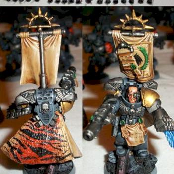 Iron Tigers Space Marine Army by GLD1