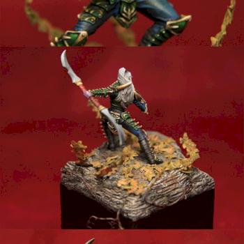 Dark Elf - Dark Sword Miniatures by AkhRa