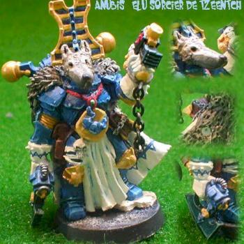 Anubis, sorcier élu de Tzeentch by Wisegolem