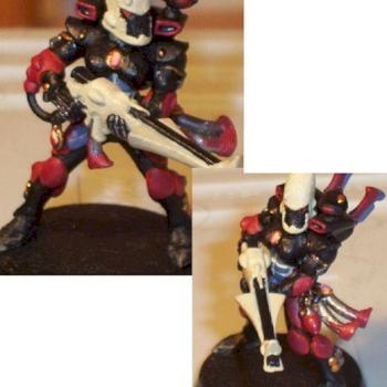 Eldar Guardian by Bruce McVinnie