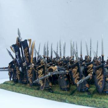 lanciers elfes noirs by AnomanderRake
