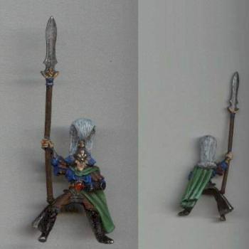Wood Elf Glade Rider Champion by kozi ck