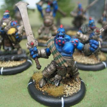 Trollbloods Fennblade Officer by tchicken