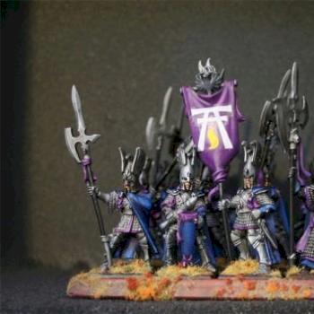 high elf phoenix guard by exocorp
