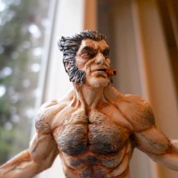 Close up of Wolverine by krazynadechukr