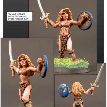 silver and steel warrior by ALizardInCrimson