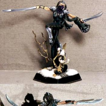 Dark elf assassin by lukatme