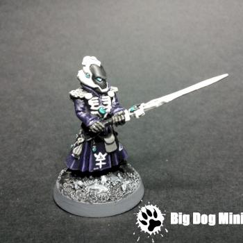 Eldar Warlock by thebigdog