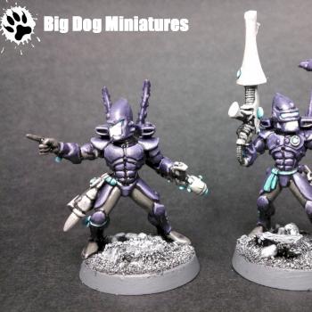 Eldar Guardian Weapon Team by thebigdog