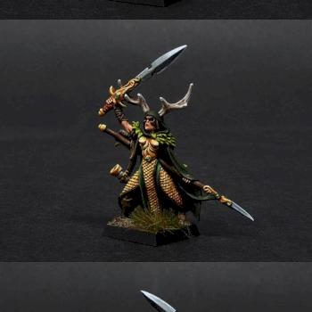 Wood Elf Lord with Sword and Spear by BloodyBeast.com