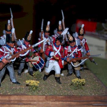 Royal Newfoundland Fencibles by Coldstreamer