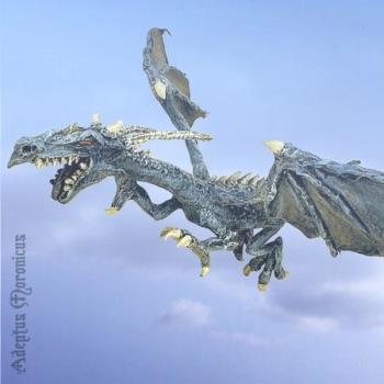 little blue dragon by Ranger 101