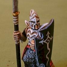 My first Dark Elf by draconadonid