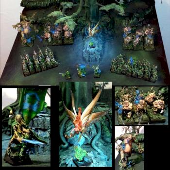 Wood elves tounament Army by douteu