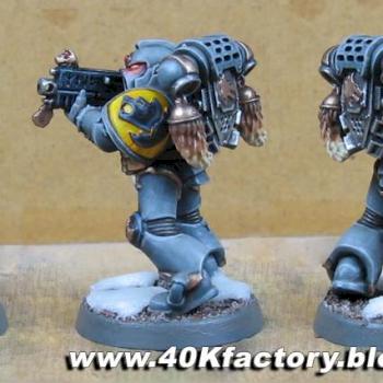 Grey Hunter Space Wolves by psychomatt
