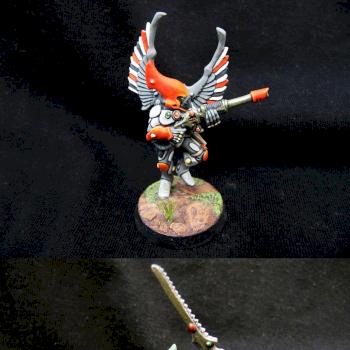 Eldar Swooping Hawk and Striking Scorpion by stampedingviking