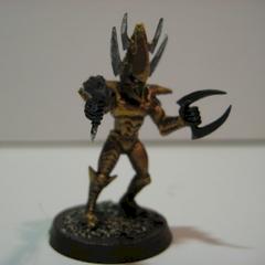 Dark Eldar by Wulf328